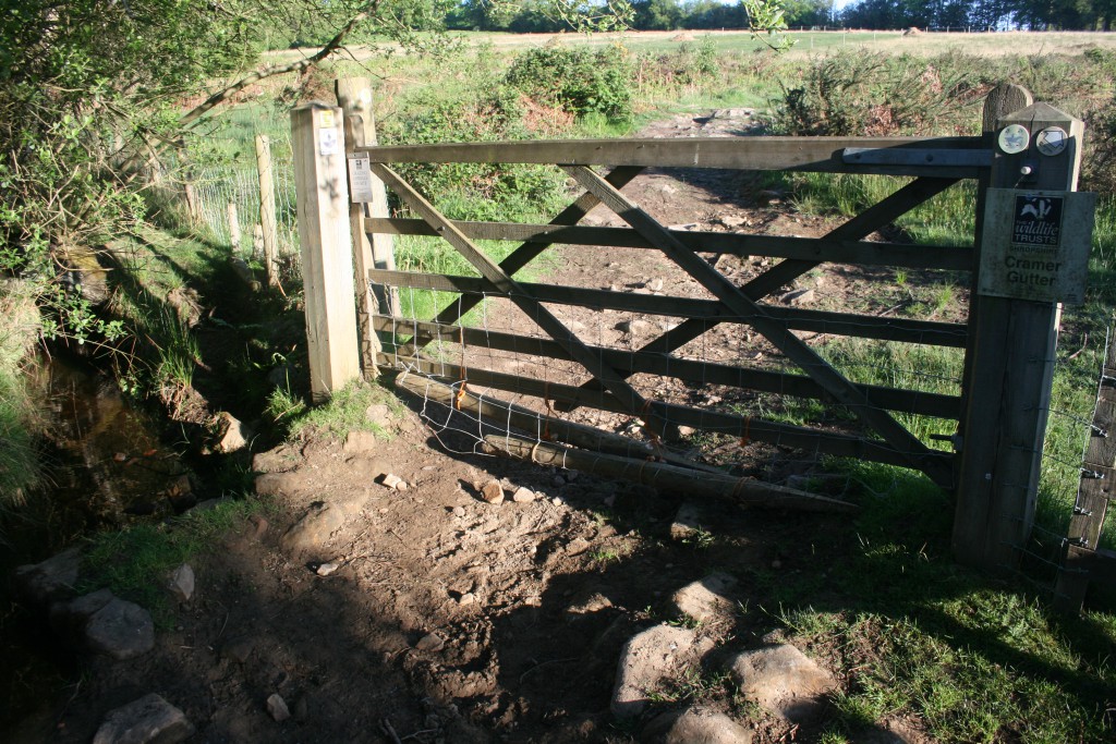 Close up gate 27th May 2010