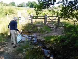 J attempting to cross at Cramer Gutter brook 4th July 2018