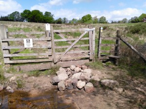 Rocks piled up at CRamer Gutter gate 15th May 2016