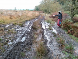 Tyre tracks leading across Catherton Common 15th October 2019